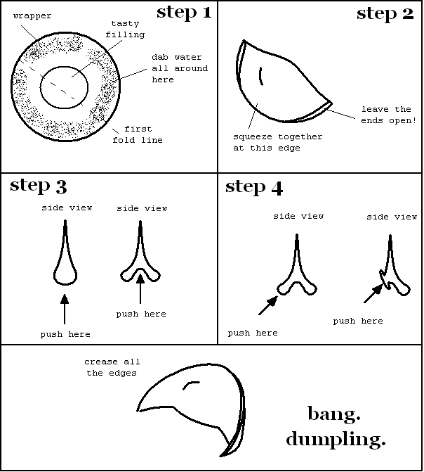 How to fold a dumpling